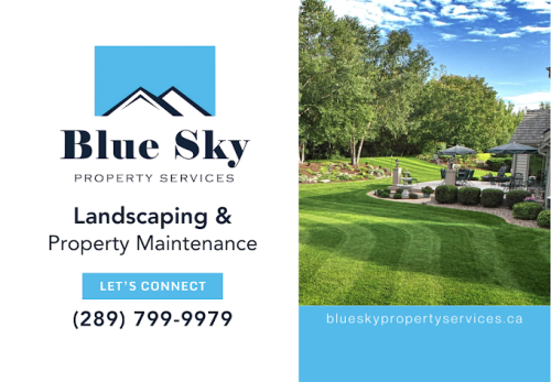 Image for Blue Sky Property Services with ID of: 6730494