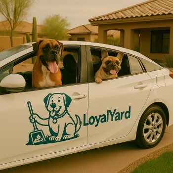 Image for LoyalYard with ID of: 6731276