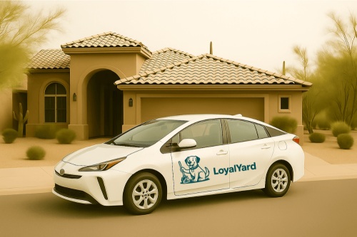 Image for LoyalYard with ID of: 6731277