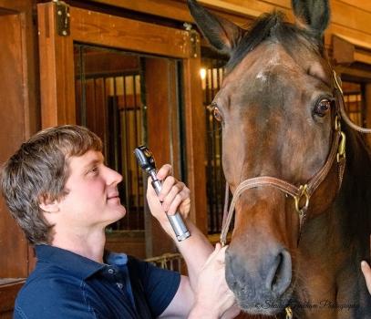 Image for Black Brook Veterinary Services with ID of: 6735107