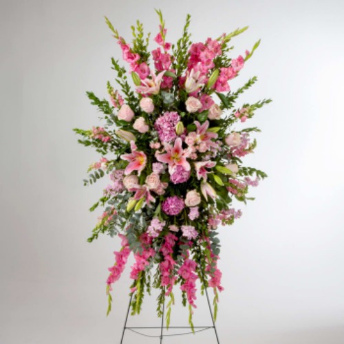Image for Grace & Blooms with ID of: 6736281
