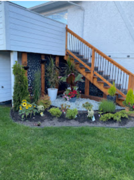 Image for Area 250 Renovations with ID of: 6736777
