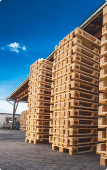 Image for Alberta Pallet Co Ltd with ID of: 6739400