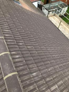 Image for Roofshield Roofs with ID of: 6743780