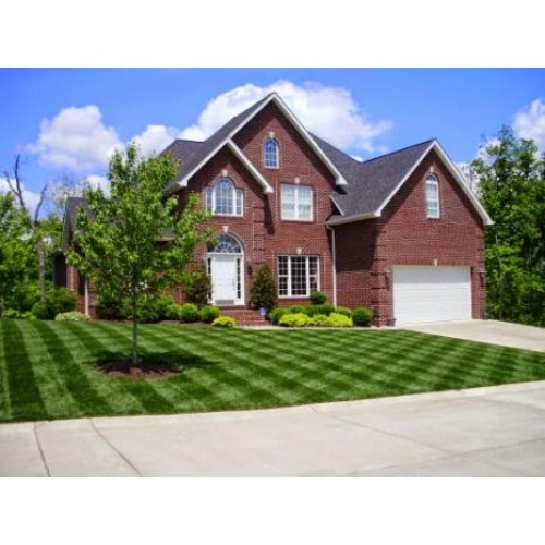 Image for Burke Lawn Care with ID of: 6744366