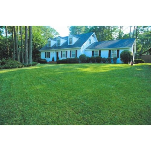 Image for Burke Lawn Care with ID of: 6744367