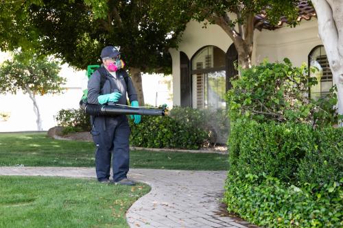 Image for Lunar Pest Control with ID of: 6745832