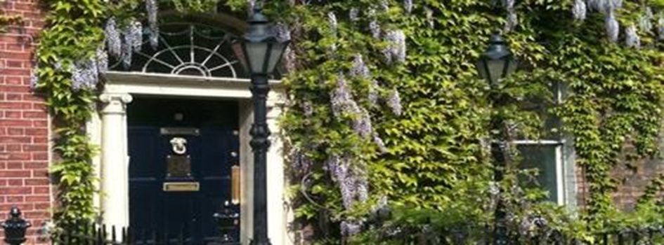 Image for Chiropractic First Dublin with ID of: 6746176