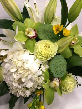 Image for Blooms on 9th with ID of: 6747411