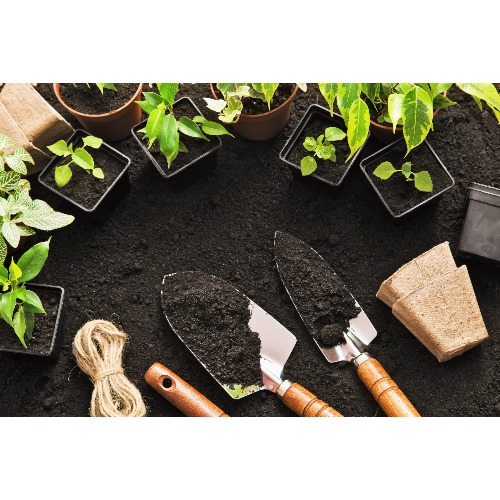 Image for Seeds 'N Such with ID of: 6747422
