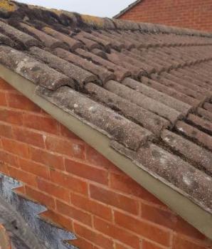 Image for CMW Roofing & Renovations with ID of: 6748682