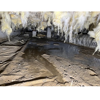 Image for DFX Foundation & Waterproofing Experts with ID of: 6750989