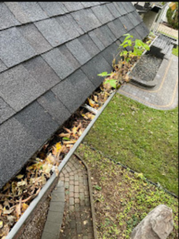 Image for Legacy Window Washing with ID of: 6751462