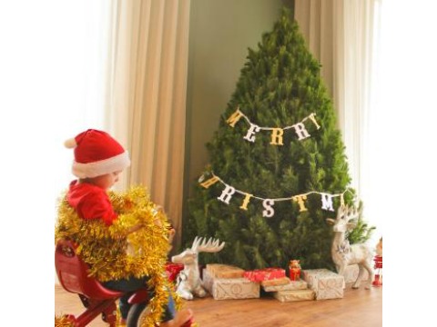 Image for Real Christmas Tree Elves with ID of: 6752318