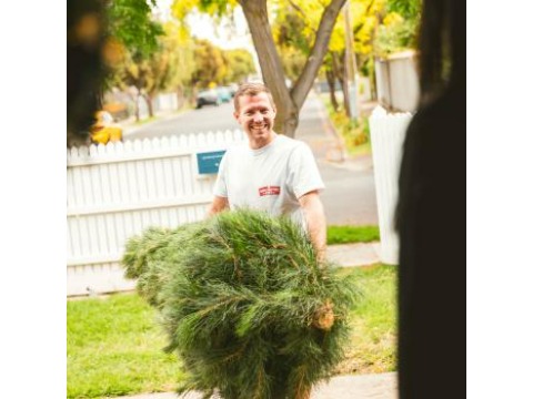 Image for Real Christmas Tree Elves with ID of: 6752319
