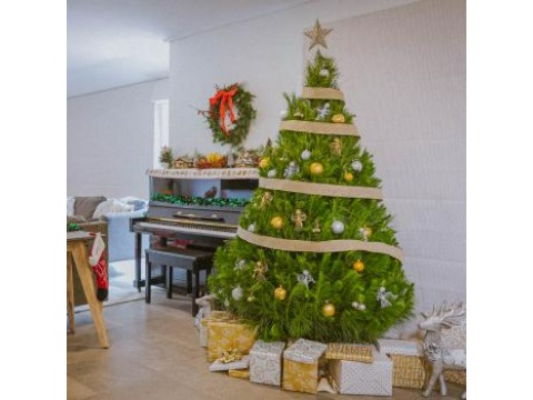 Image for Real Christmas Tree Elves with ID of: 6752320