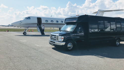 Image for JM Limos FL. with ID of: 6753126