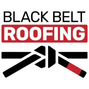 Image for Black Belt Roofing with ID of: 6900652