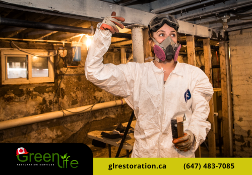 Image for Green Life Restoration Services Ltd. with ID of: 6758321