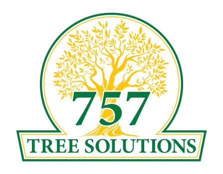 Image for 757 Tree Solutions with ID of: 6900975