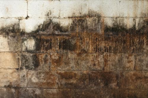 Image for X-Cel Restoration with ID of: 6759492