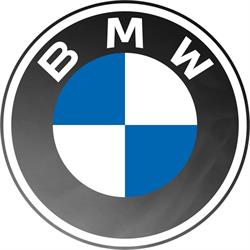 Image for Braman BMW Miami with ID of: 6759587