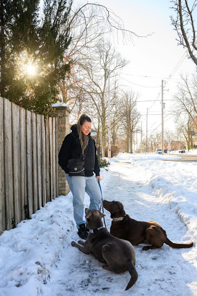 Image for Lady with Dogs with ID of: 6760377