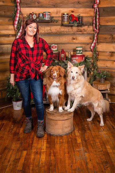 Image for Lady with Dogs with ID of: 6760379