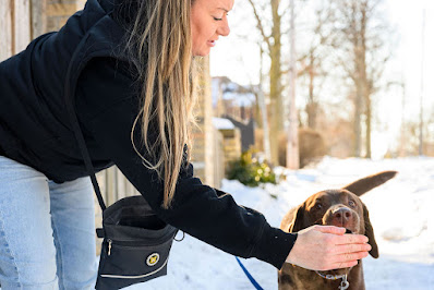 Image for Lady with Dogs with ID of: 6760380
