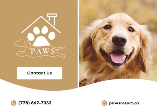 Image for Paws Playhouse and Resort with ID of: 6761205