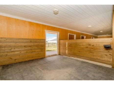 Image for Paws Playhouse and Resort with ID of: 6761219