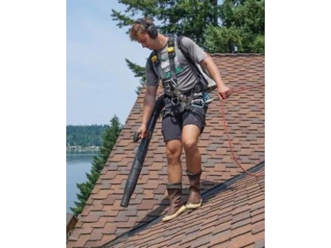 Image for AA Window, Roof & Gutter Cleaning with ID of: 6762455
