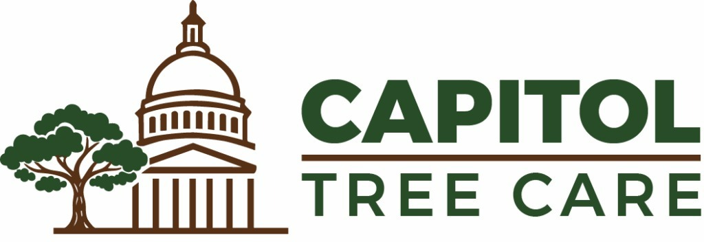 Image for Capitol Tree Care with ID of: 6907014