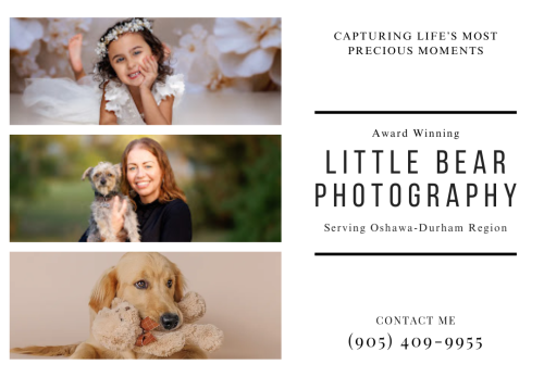 Image for Little Bear Photography with ID of: 6764233