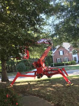 Image for Green Leaf Tree Service with ID of: 6764320
