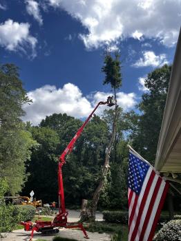 Image for Green Leaf Tree Service with ID of: 6764321