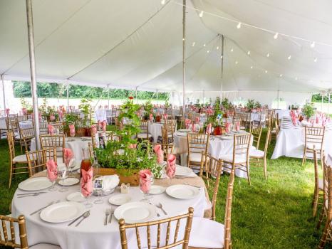 Image for Nelson's Catering, Inc. with ID of: 6766019