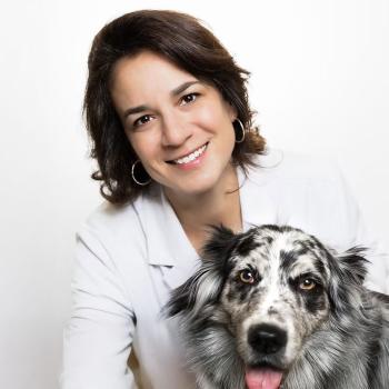 Image for Knox Veterinary Surgery with ID of: 6766974