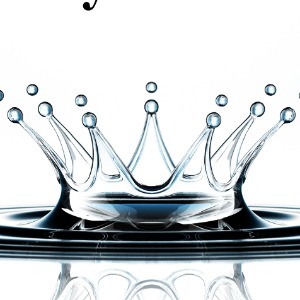 Image for Rainking Purification Systems with ID of: 6909772