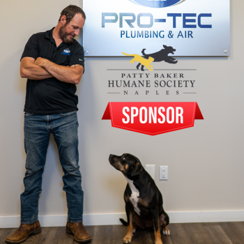 Image for Pro-Tec Plumbing & Air with ID of: 6767819