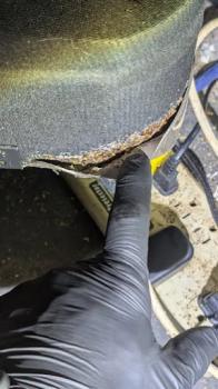 Image for Seasonal Solutions Pest Services Ltd. with ID of: 6768858