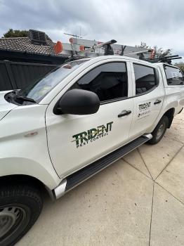 Image for Trident Pest Control with ID of: 6769569