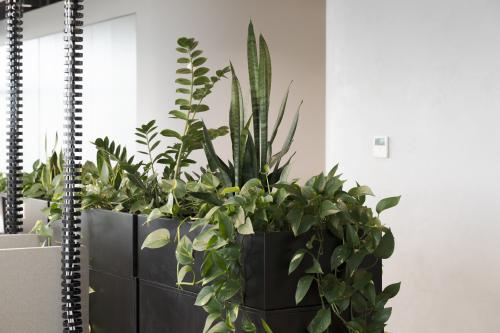 Image for Social Garden with ID of: 6769591
