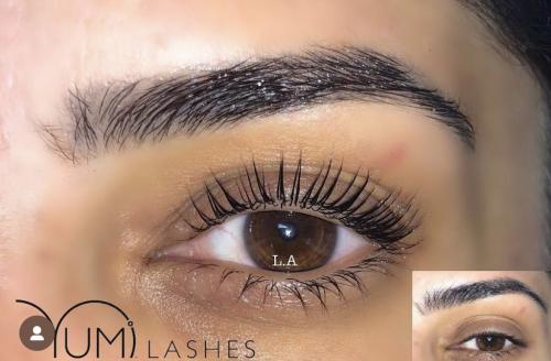 Image for Dk brows Sarasota with ID of: 6769719