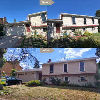 Image for Paint Denver with ID of: 6769999