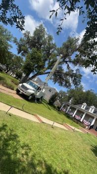 Image for Tri County Tree Service LLC with ID of: 6770828