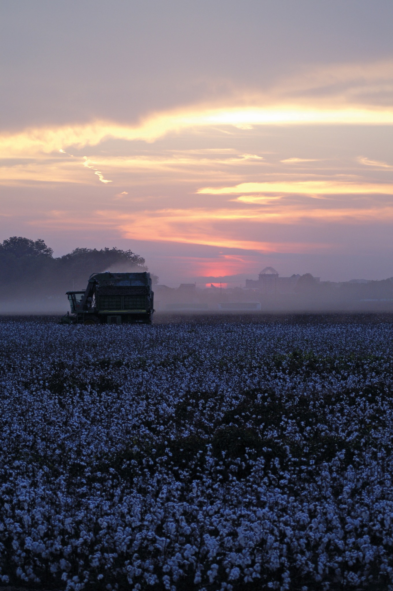 Image for Visit Mississippi with ID of: 6770875