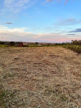 Image for LowDown Land Clearing with ID of: 6771095