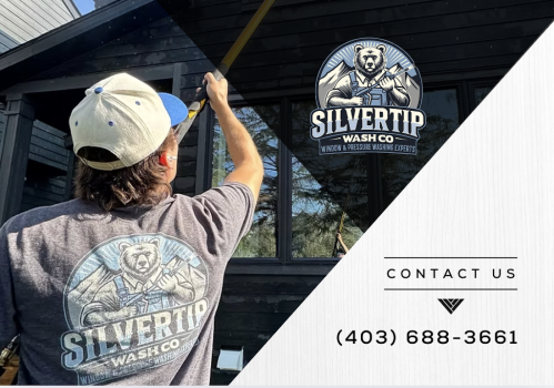 Image for Silvertip Wash Co. with ID of: 6771288