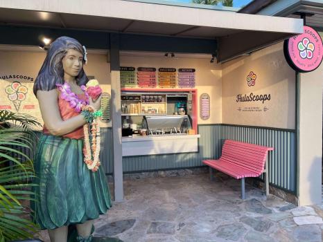 Image for HulaScoops with ID of: 6771433